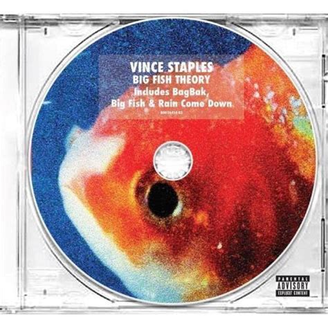 wiki vince staples|Big Fish Theory .